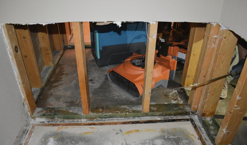 Water Damage Assessment