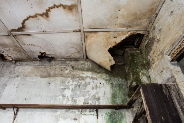 Water Damage Service in Dade City