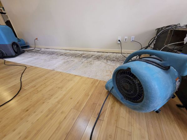 Water Damage Mitigation in Dade City