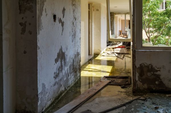 Water Removal Service in Dade City