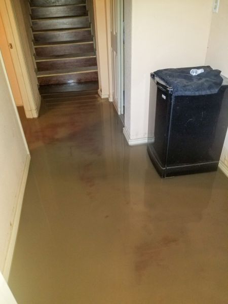 Emergency Water Removal in Dade City