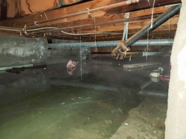 Crawlspace Water Restoration in Dade City